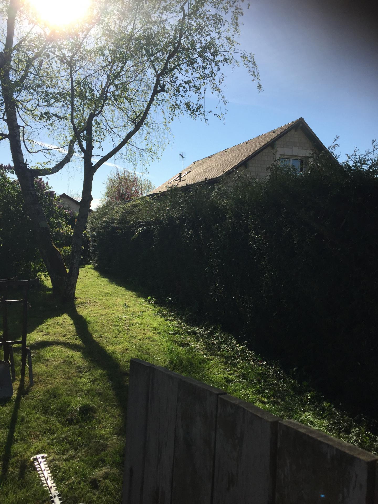 Avant la Taille de la Haie