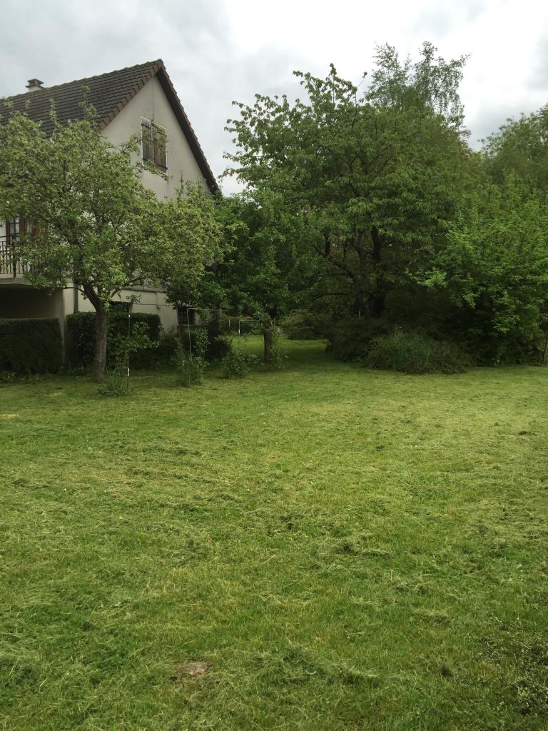 Tonte d'herbes d'un jardin a cosne cours sur loire 58200 nièvre 58 bourgogne aprés
